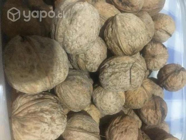 Nueces mariposa . Saco 25k