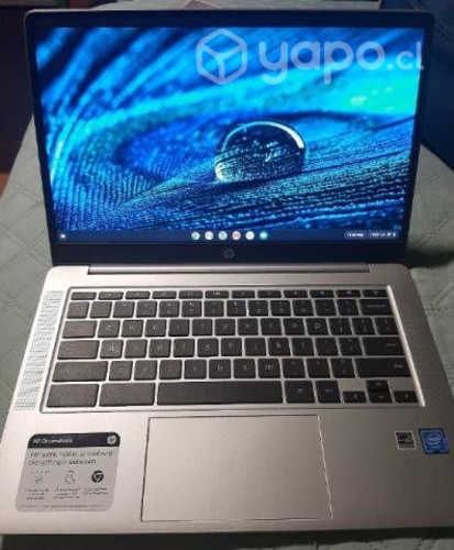 Chromebook Hp Intel celeron 14'