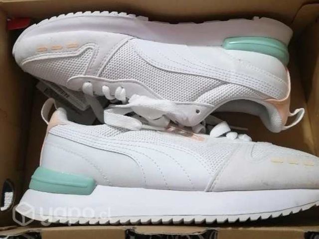 Puma nuevas