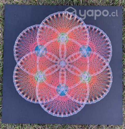 Cuadro Semilla de la vida