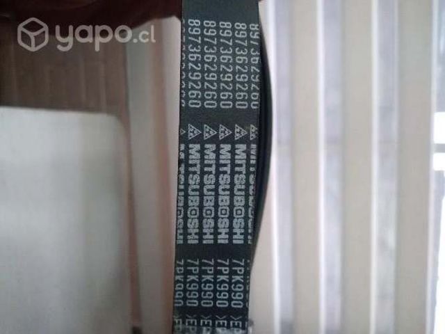 Correa alternador Luv Dmax