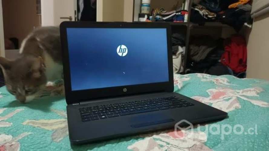 Notebook hp 245