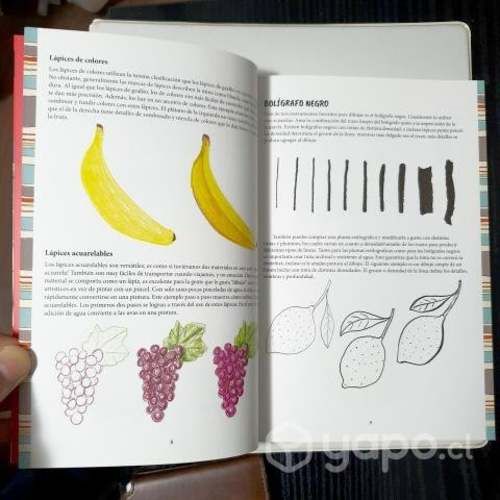 Ilustración. Una Guía Para Ilustrar En Todo Moment