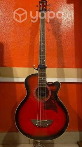 Bajo Electroacustico y electrico . Amplificador