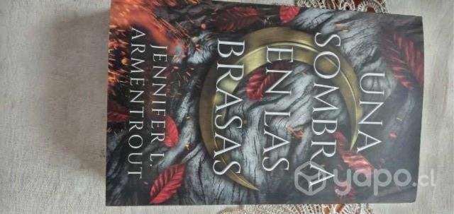 Una sombra en las brasas 1