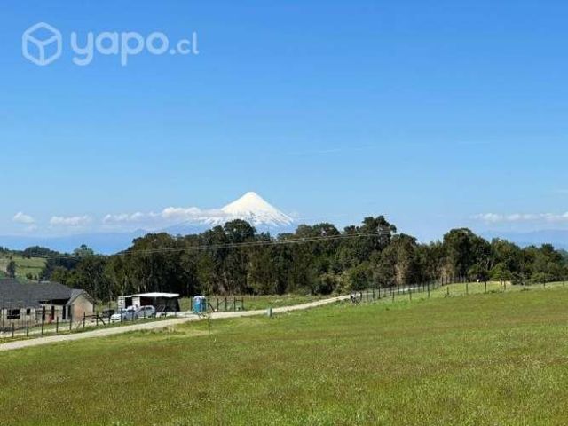 Los Ulmos de Molino Viejo, Pto. Varas