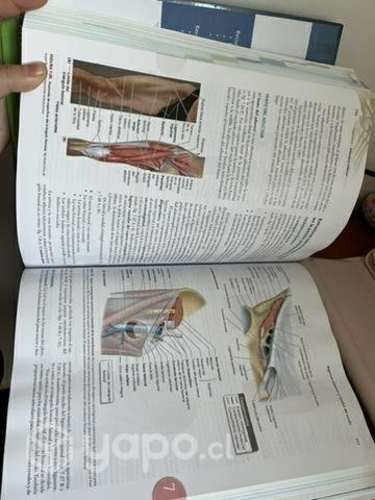 Libro 8va edición Anatomía, MOORE