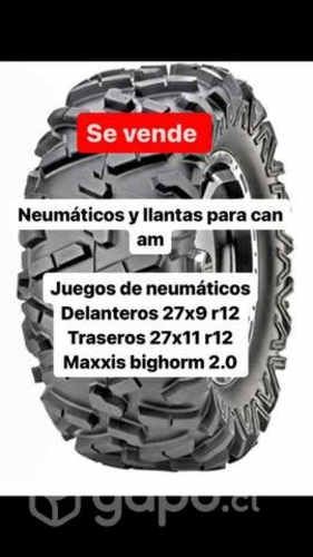 Neumáticos y llantas para can am