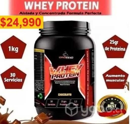 Whey Protein 1Kg