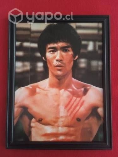 Cuadro de BRUCE LEE