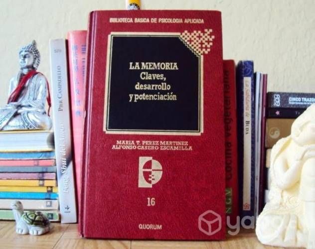 LA MEMORIA. Claves, desarrollo y potenciación