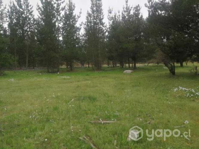 Parcela Ubicada En Litueche