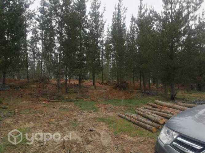 Parcela Ubicada En Litueche