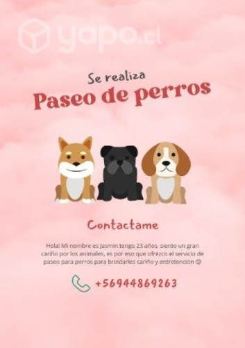 Servicio de paseo de perros