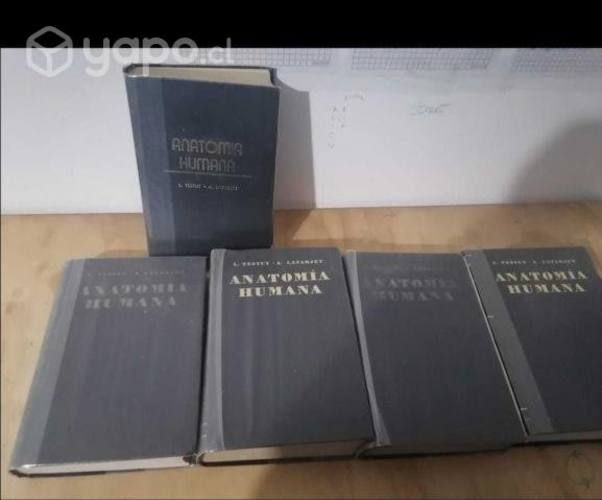 Anatomia humana testut latarjet