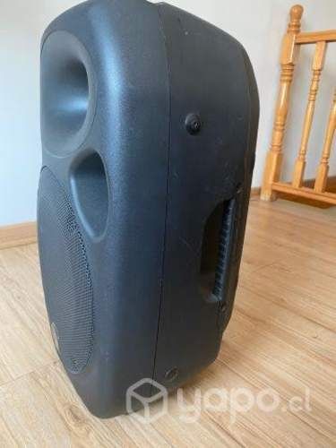 Warfedale pro titan 12D usado (perfecto estado)