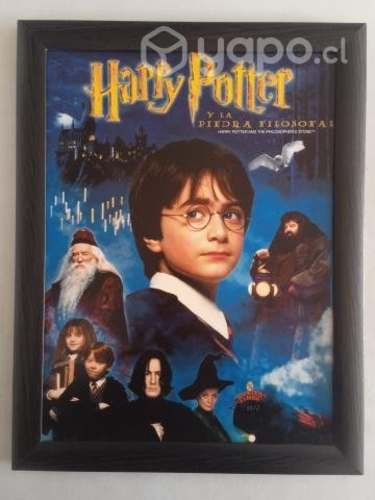 Cuadro de harry potter