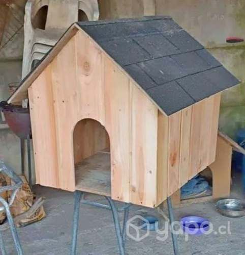 Casa de perro