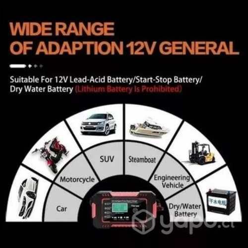 Cargador de bateria inteligente