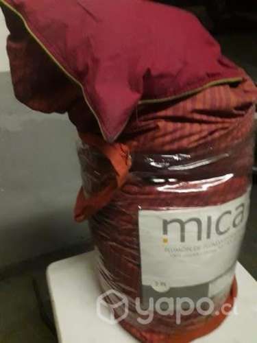 Diversidad Articulos