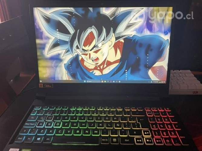 Acer nitro 5 rtx3060