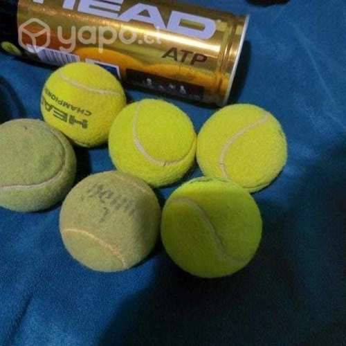 6 Pelotas de Tenis