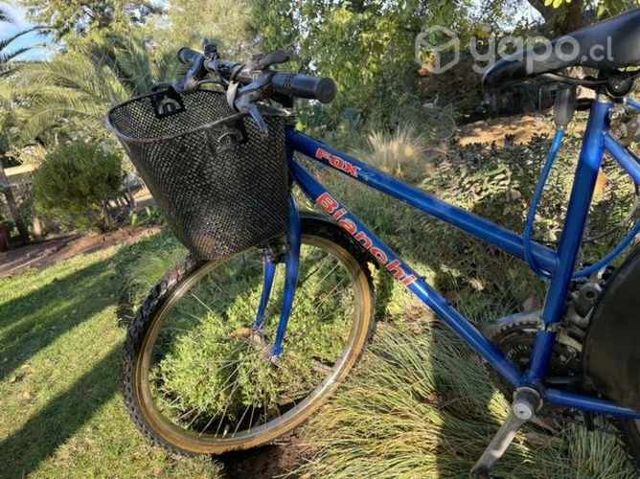 Bicicleta Bianchi fox