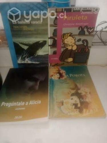 Libro complementario