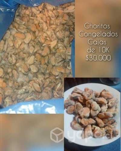 Productos congelados (Frambuesa y Choritos)