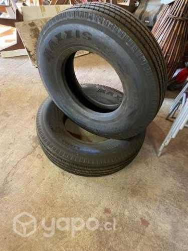 Neumáticos 9.5r17.5