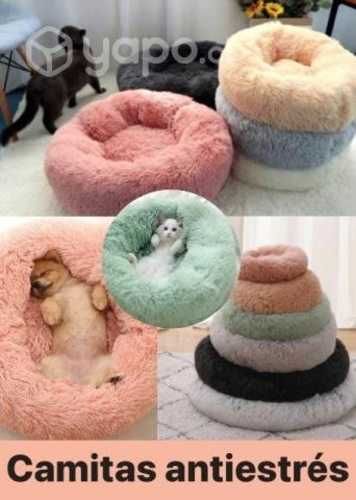 Arenero camas arnes jaulas