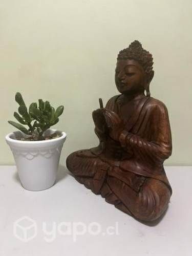Buda de madera