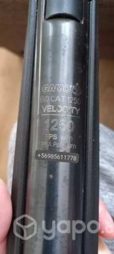 Permuto por Nintendo Switch