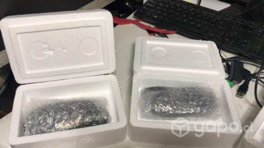 Sensor de Oxigeno Superior para Mahindra Euro 5