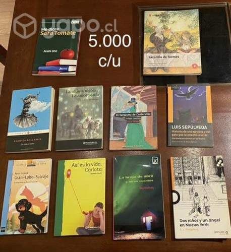 Libros lectura Escolar