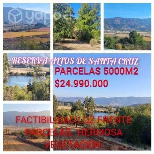 Hermosas parcelas santa cruz, árboles nativos,