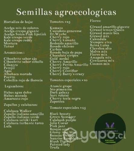 Semillas orgánicas