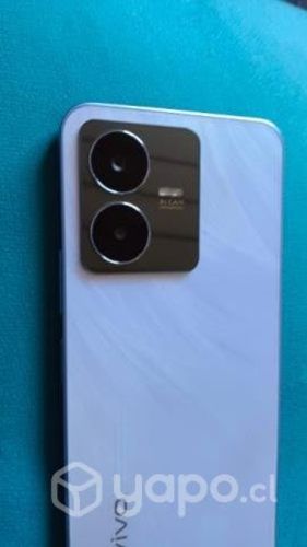 Vivo y22s