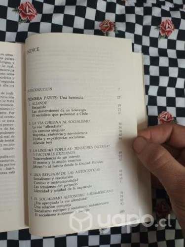 La fuerza Democrática de la Idea Socialista