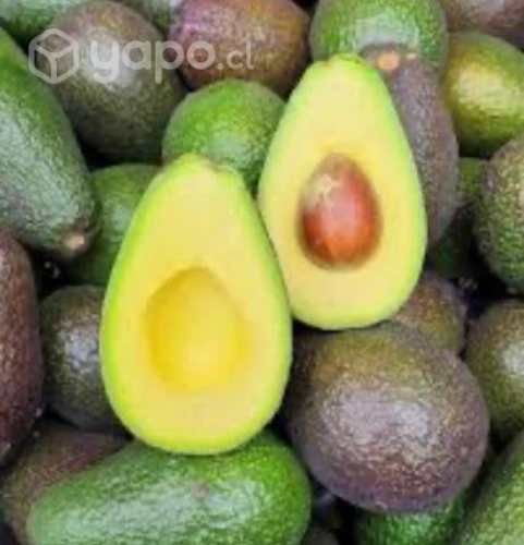 Palta hass