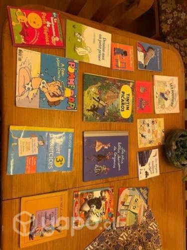 Catorce Libros para niños en frances