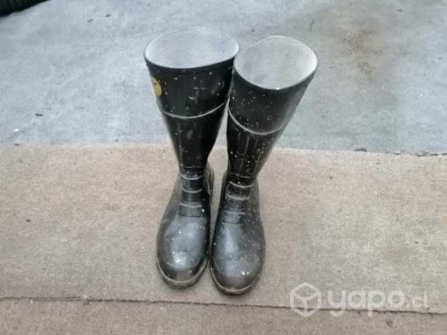 Botas de agua 43