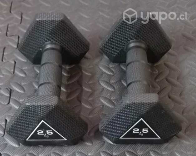 Par mancuernas 2,5 kg