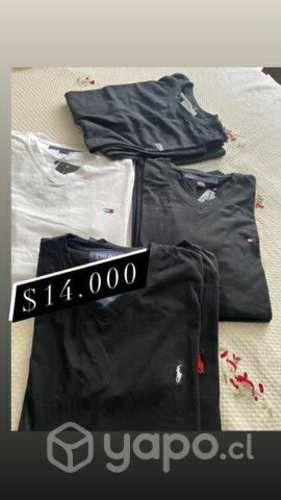 Poleras Tommy Hilfiger, Lacoste, Polo