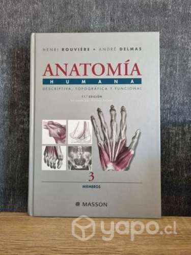 Libro anatomía humana Rouviere 3 tomo miembros