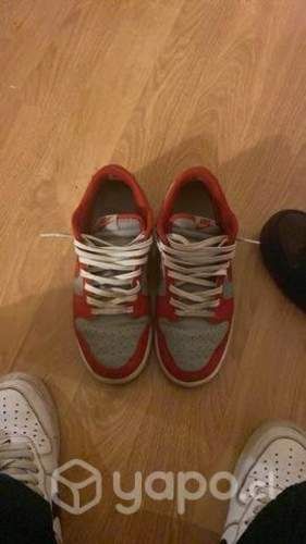Nike Dunk Low Originales