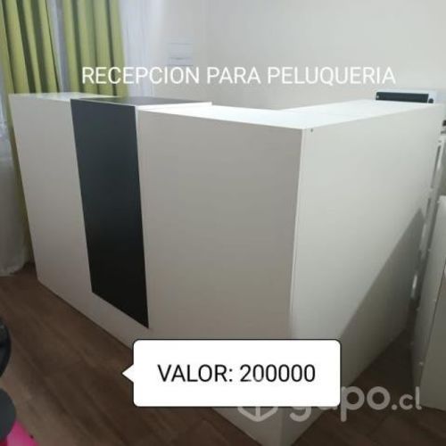 Articulos de peluqueria