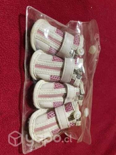 Zapatos para perrita