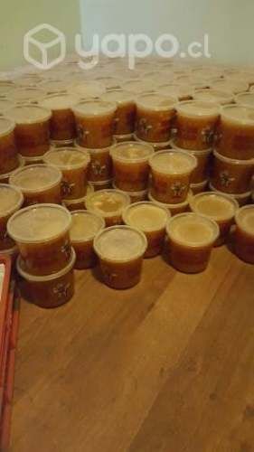Miel pura de abejas