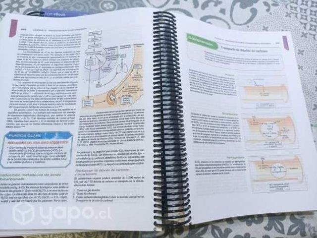 Fisiopatología, 10a Edición
